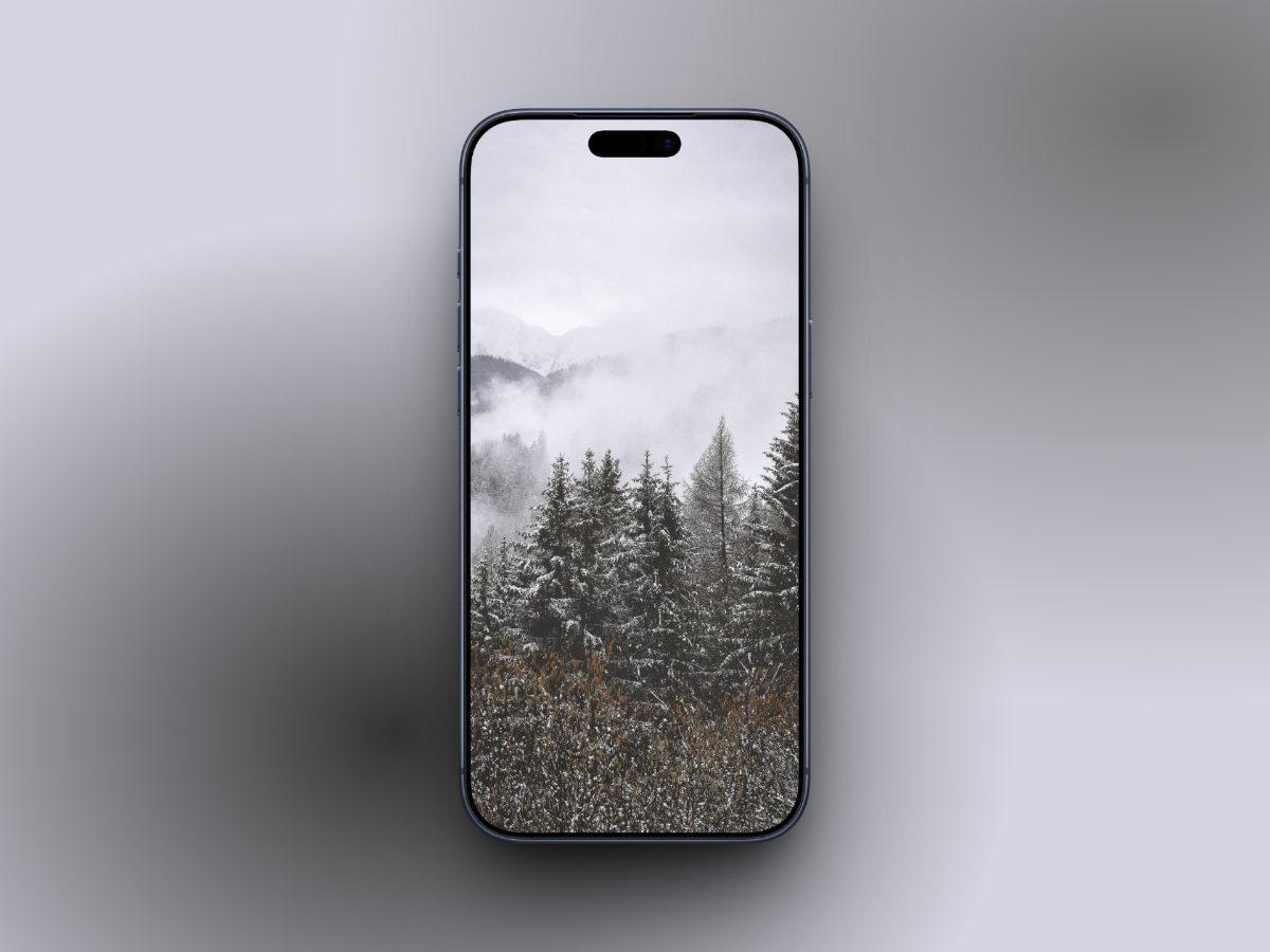 Aesthetic Foggy Forest with Snow